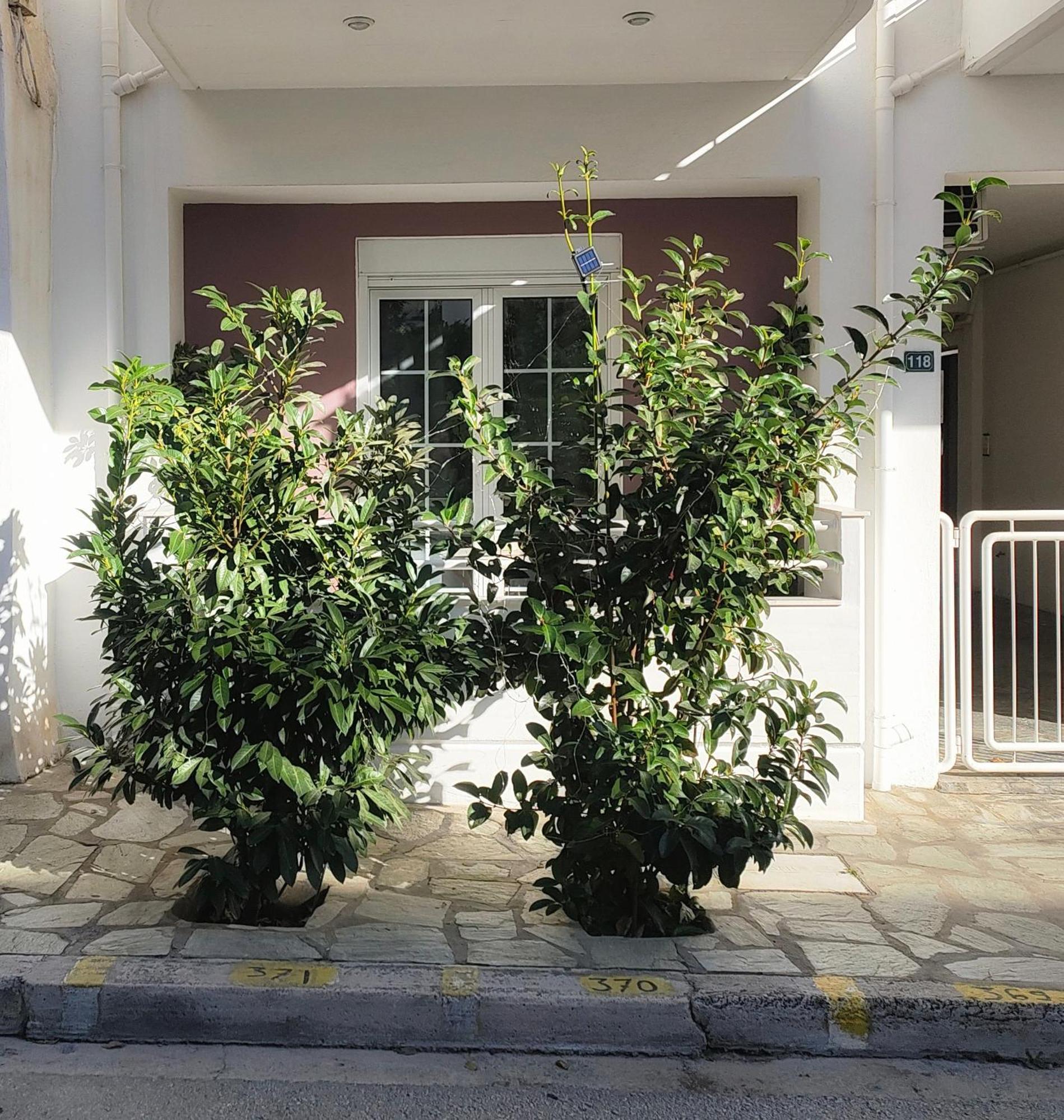 Home Volos Ngoại thất bức ảnh